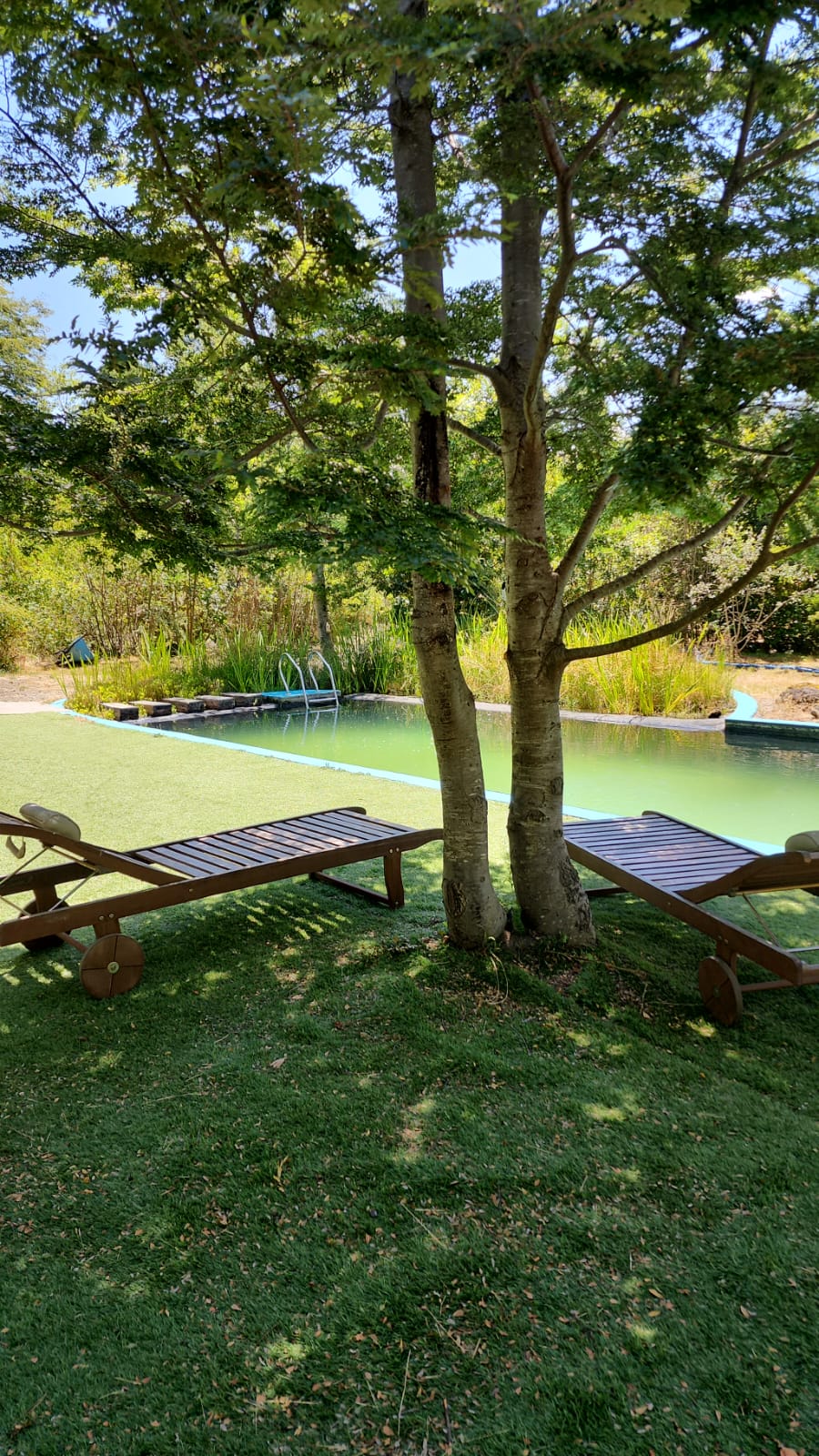 area piscina